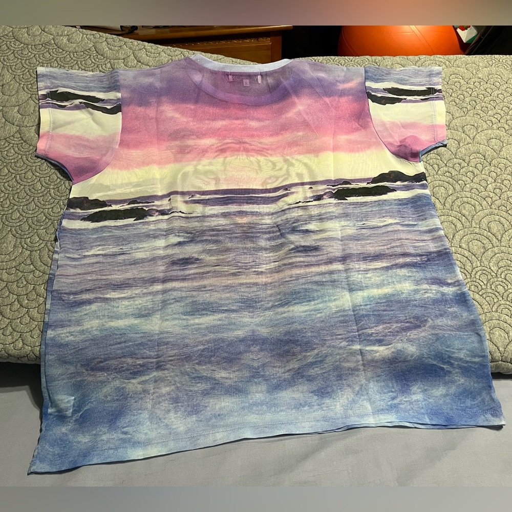 NWOT WILDFOX TIGER SHEER T SHIRT - Picture 3 of 7